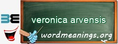 WordMeaning blackboard for veronica arvensis